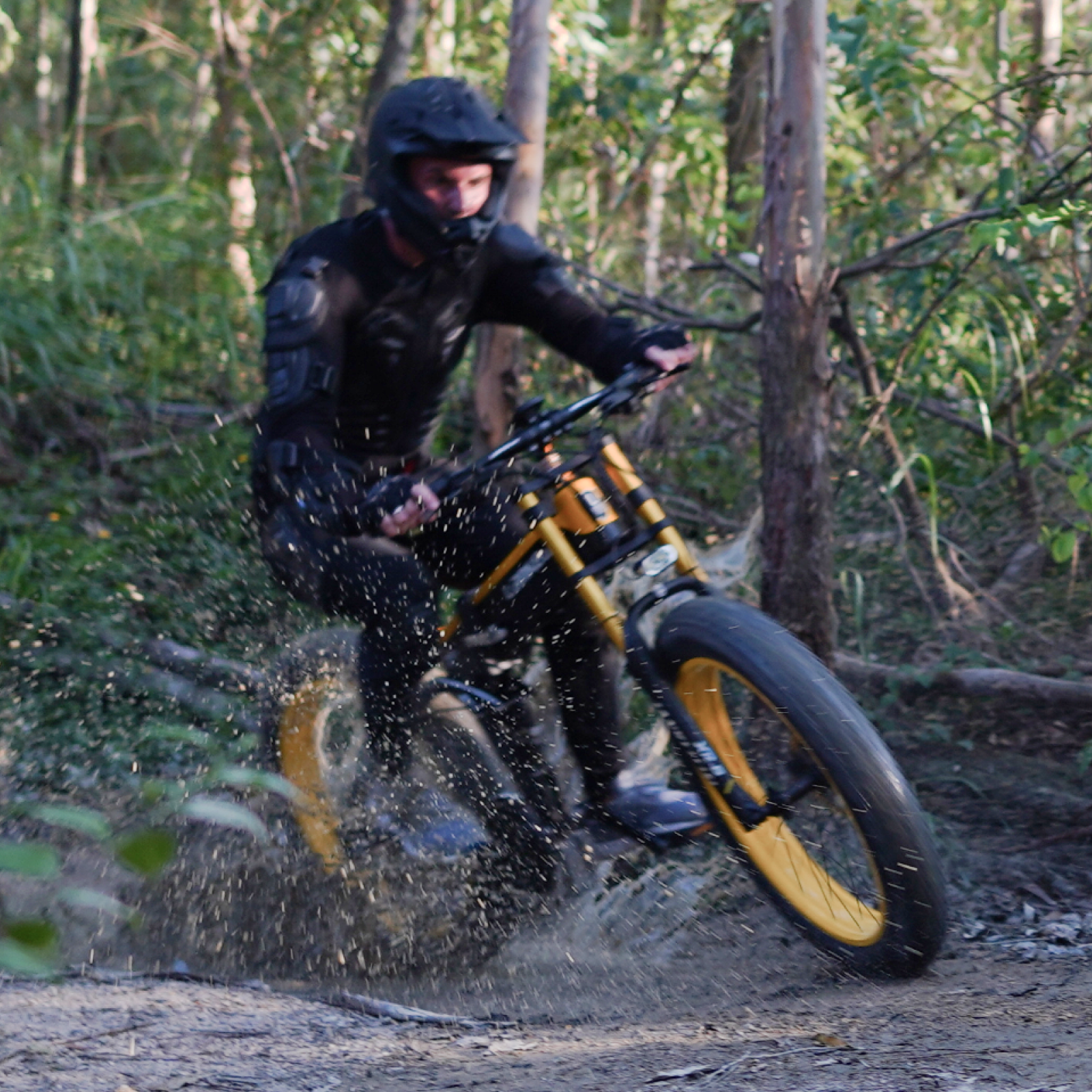 ЛАНКЕЛЕЙСИ XT750PLUS