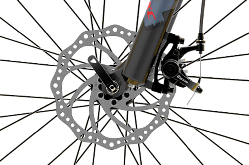 Hydraulic brake set for Lankeleisi electric bike, showing disc brakes and brake calipers on the bike wheel.